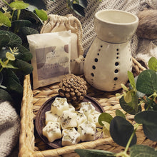 Load image into Gallery viewer, Smoked Woods + Eucalyptus Botanical Wax Melts

