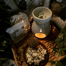 Load image into Gallery viewer, Smoked Woods + Eucalyptus Botanical Wax Melts
